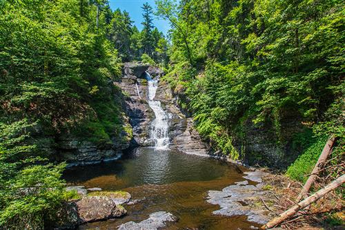 Raymondskill Falls 